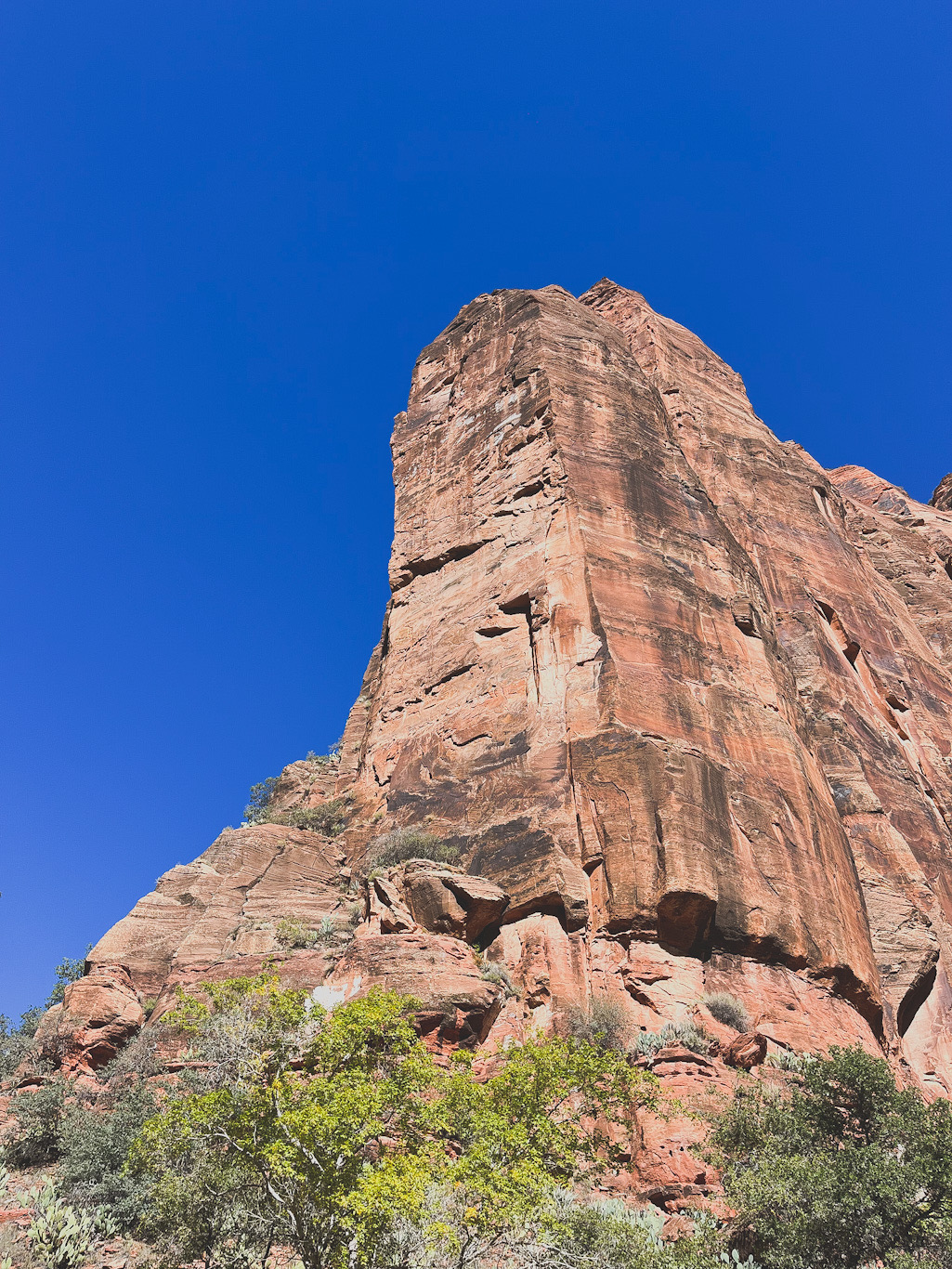 zion