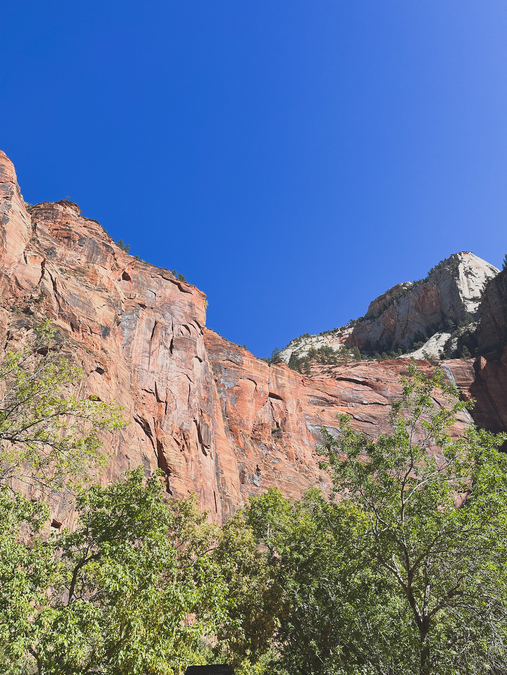 zion